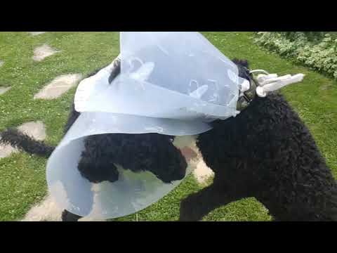 The Clash of the Cones