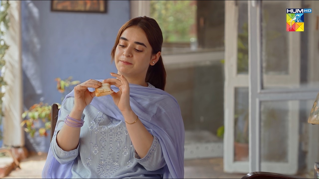 Ajkal Larki Ko Bohat Orders Mil Rahy...! Hadd - HUM TV