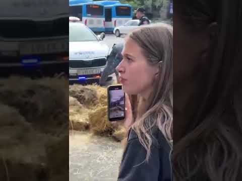 Ինչպես են ոստիկանները փողոցից հավաքում չորացած խոտը