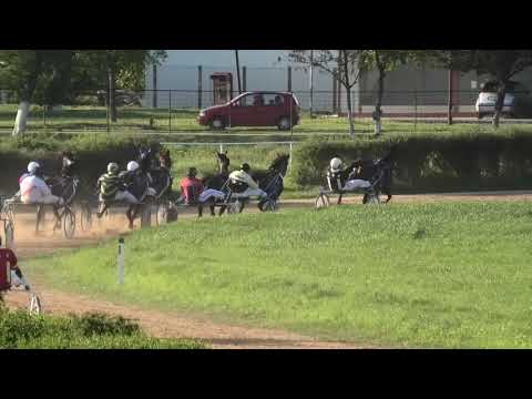 Trka "1 Maj" 02.05.2019 Brume d'Or - Novica Đorđević