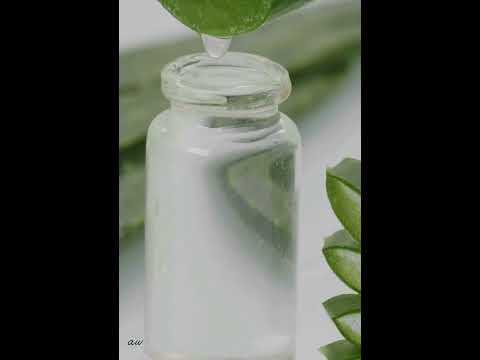 Natural Remedies of Mite Bites