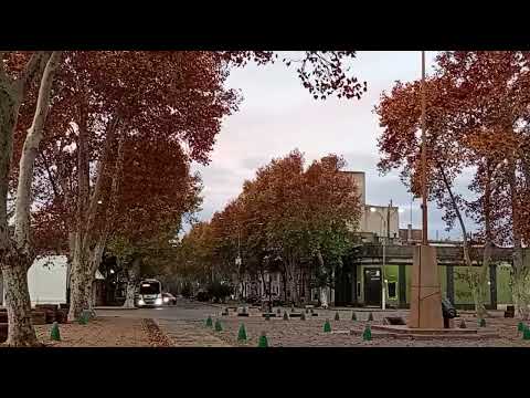 Algo de Plaza Colón ubicada en Avenida Brasil y Colonia , aquí en Paysandu.