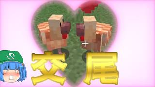 【日常】子作りを観察してみよう～普通の日常マインクラフトPart4