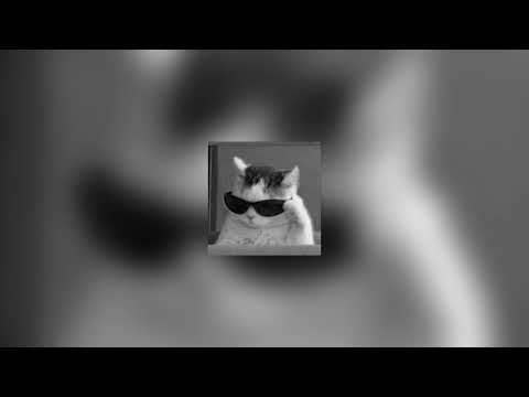 inquisitive - 不得不爱 ft. hannah ying (tiktok remix - hardstyle)