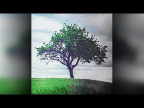 Iboriel & matifour - Chory skurwiel | #SIERPIEŃ