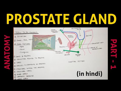 prostatitis a súlyosságtól