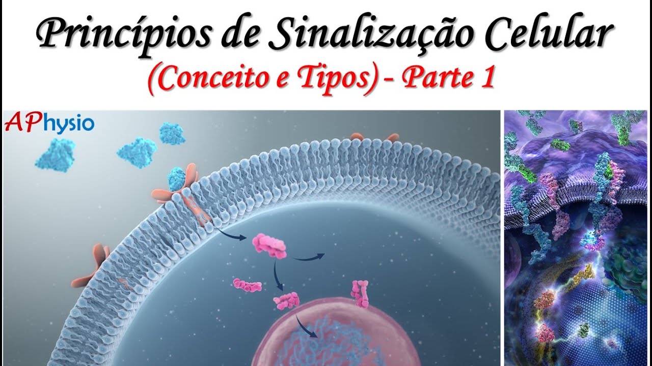 Princípios de Sinalização Celular - Conceito e Tipos - Parte 1