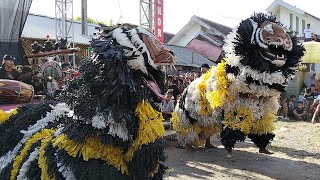 Download lagu AKSI CAN MACANAN JARANAN SINGO MANUNGGAL JAYA LIVE DESA KASIYAN PUGER JEMBER mp3 Download lagu AKSI CAN MACANAN JARANAN SINGO MANUNGGAL JAYA LIVE DESA KASIYAN PUGER JEMBER mp3