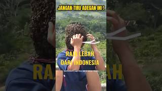Download lagu PEMUDA INI BISA MEMANGGIL LEBAH DARI JARAK 100 M. mp3 Download lagu PEMUDA INI BISA MEMANGGIL LEBAH DARI JARAK 100 M. mp3