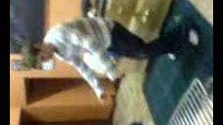 Jonny "Walking the dog"