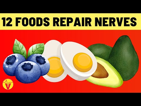 12 Best Foods To Repair And Prevent Nerve Damage | VisitJoy