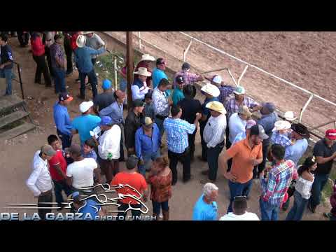 download lagu mp3 mp4 Barbie Dalmata, download lagu Barbie Dalmata gratis, unduh video klip Barbie Dalmata