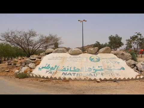 Taif National Park