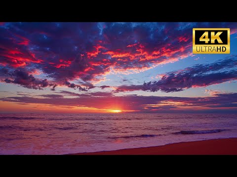 🖼️ Protector de Pantalla 4K del Océano • Transmisión en Vivo de 12 Horas • Fondo Costero Tranquilo