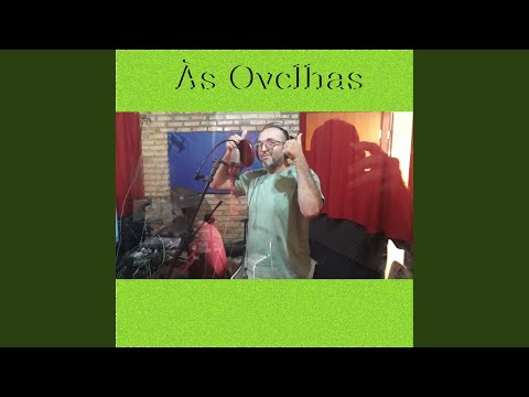 Às Ovelhas