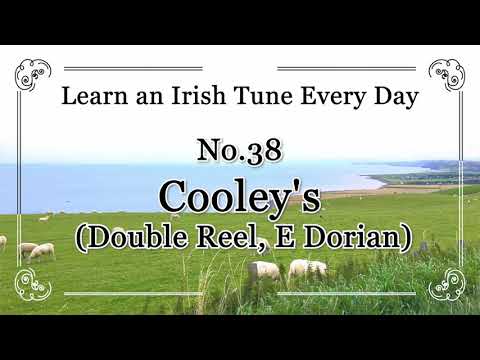 038 Cooley's Double Reel, (E Dorian) Learn an Irish Tune Every Day.
