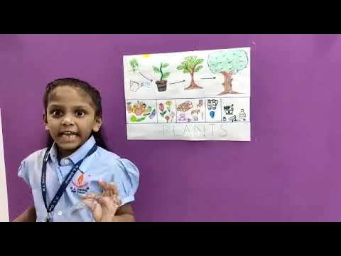 Spruha telling about Plants