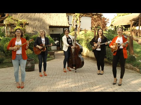 Cure iz Centra -  Veseli sme kajkavci