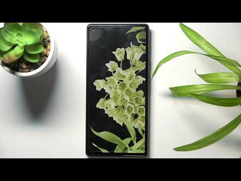 How to Activate Emoji Suggestions on GOOGLE Pixel 6 – Use Predictive Emoji