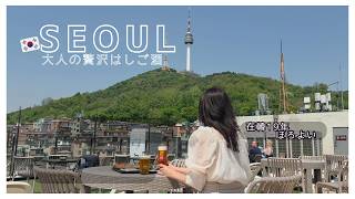 【韓国vlog】在韓19年が巡る解放村〜光化門~延南洞の大人ハシゴ酒 。スタバでお酒が飲めちゃう!