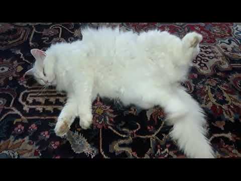 Nicht immer im Takt !