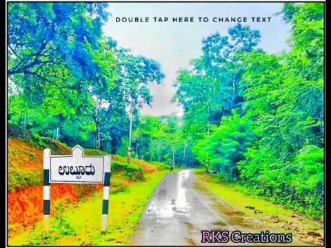 Wild nature photoshoot videos