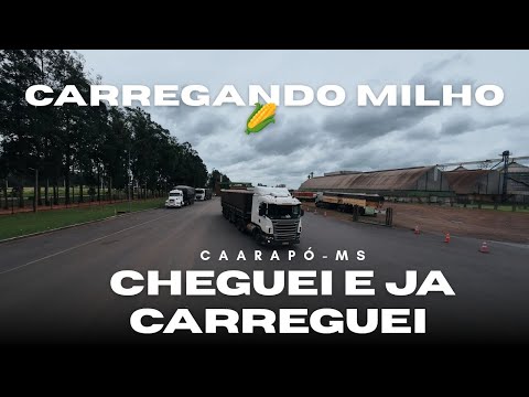 CARREGANDO MILHO 🌽 LAR DE CAARAPÓ-MS ,CARREGAMENTO RAPIDO E A NOTA MAIS AINDA !