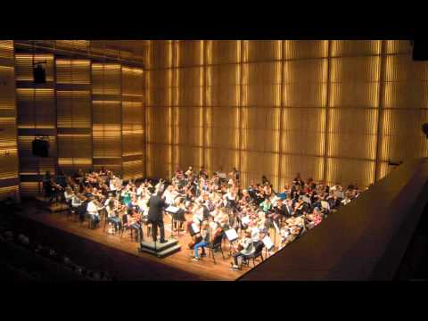 Divertimento aan het IJ Sinfonia (wereldpremiere)