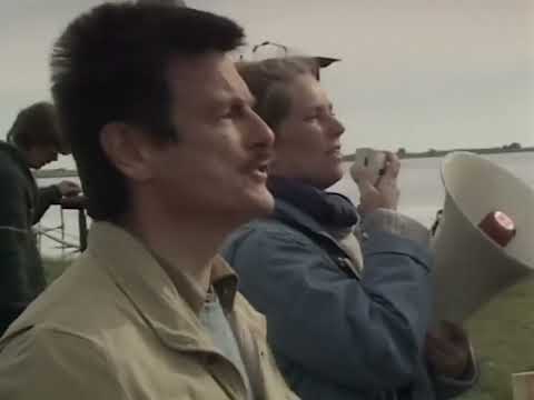 Тарковский - Куда он поехал