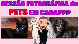 [SESSÃO FOTOGRÁFICA DE PETS EM CASA?] Será que dá certo? #DICASDEFOTOGRAFIA