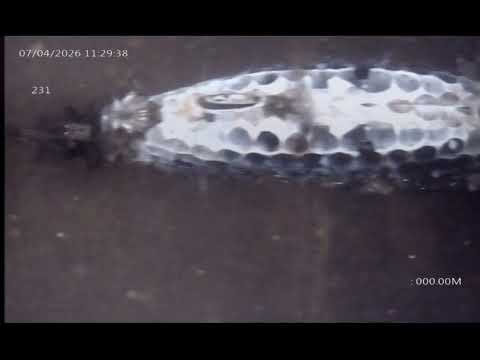 Extracto 231   Caucete   San Juan