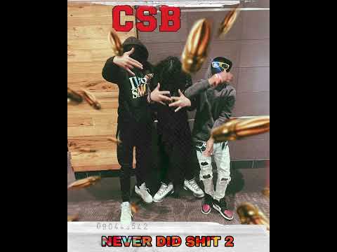 Roogagzzly - never did shit pt2 (ft unknown.blixka) [official audio]