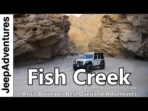 Best of Anza-Borrego State Park Overlanding: Fish Creek, Sandstone, Split Mtn, and More Off-Road.