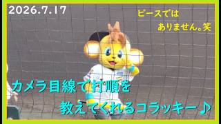 [2026.7.17] スタメン発表中、カメラ目線で打順を教えてくれるコラッキー！ ＠SGLスタジアム～フィールドシートA(1塁)視点～ 【阪神タイガース】