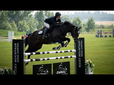 Saga V/D Voortakker horse shows