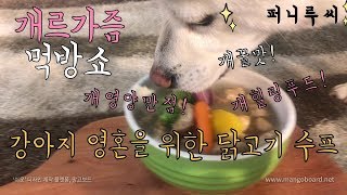 Dog Eating Chicken Soup [Sound Dogs Love]