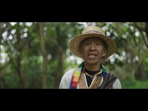 Colombia verso a verso: Timbio Cauca