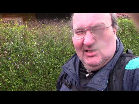 MongoTV_871 - Del 1 - Gåtur 2.Juledag i Regnvejr til Tankstation Spise Grillpølse