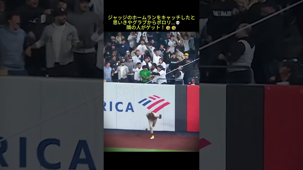 ジャッジのホームランをキャッチしたと思いきやグラブからポロリ...💀　　隣の人がゲット！w #mlb #shorts  #baseball