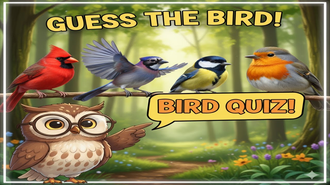 Discover the Amazing World of Birds | Fun Facts and Learning for Kids