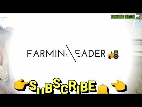 How Collect semen Of Bull @ Bovine Sperm Station India|Farming Technology
