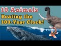 10 Animals That Can Live Over 100 Years