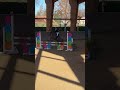 Vendo poni C 7 a&ntilde;os por cambio categor&iacute;a 