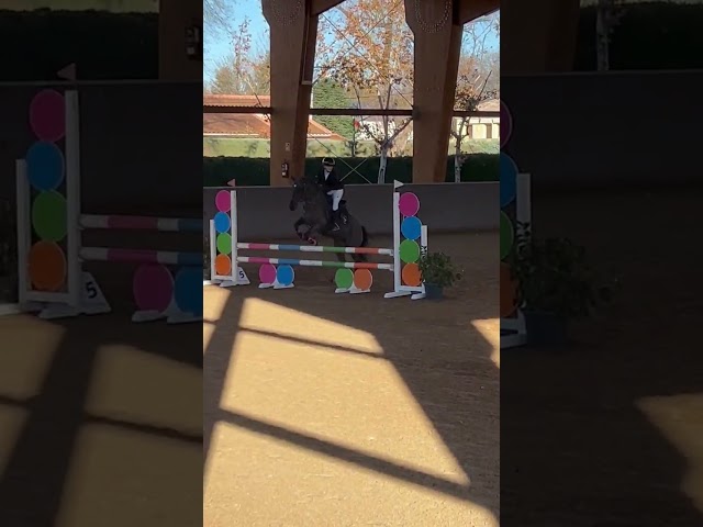 Vendo poni C 7 a&ntilde;os por cambio categor&iacute;a 