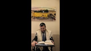 כלל ב'  חלק ה' | איך יש לנהוג בראיון לערוצי תקשורת? סיפור השידוך שבא לשולחנו של הגראי"ל שטיינמן זצ"ל