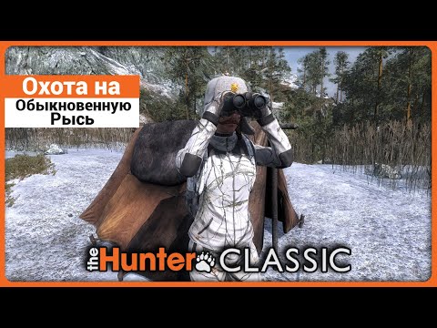 Охота на Обыкновенную Рысь в theHunter Classic !
