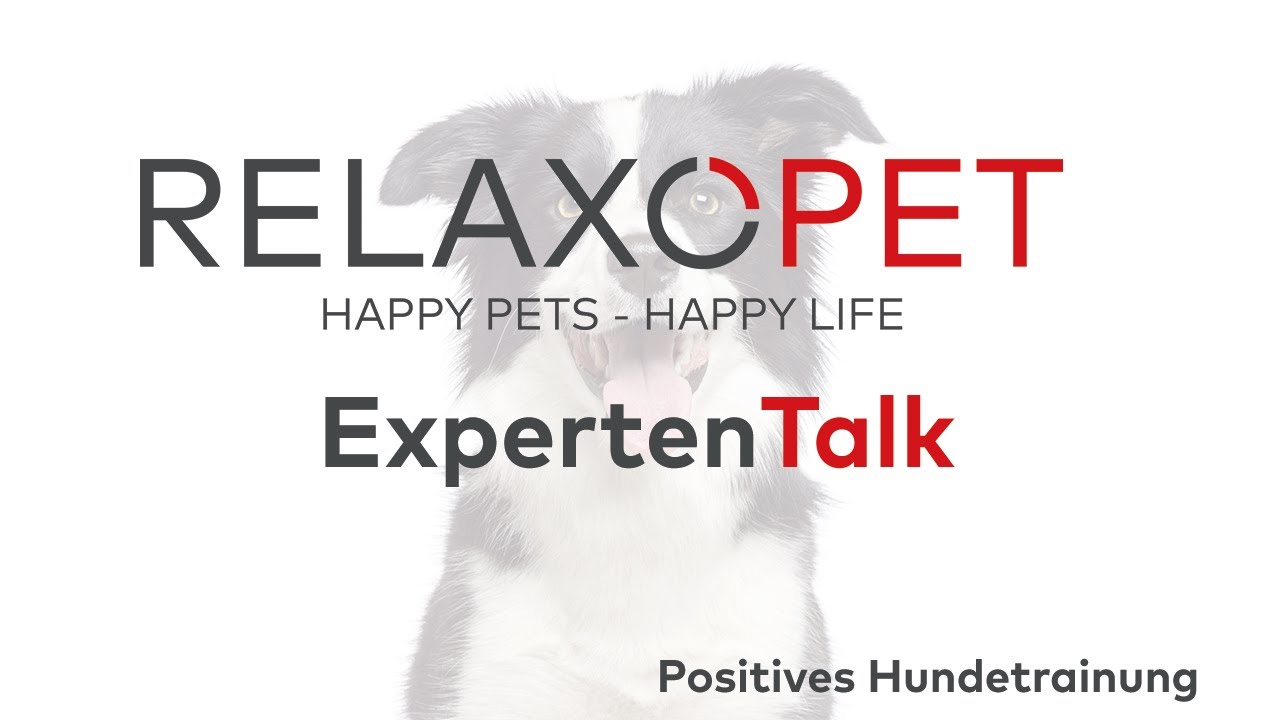 Expert Talk No. 4 - Positive Dog Training