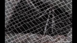 [dead_doll] - rotten calling