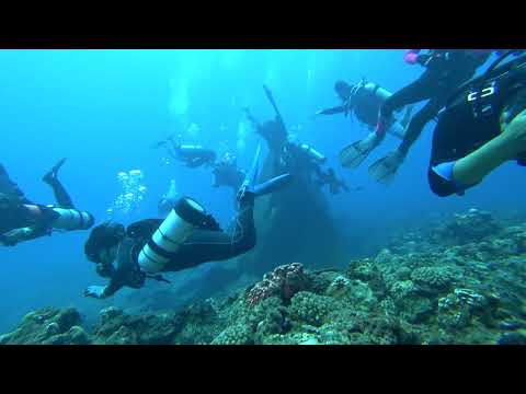 20171029 Resting turtle w/ side-mount squad 3