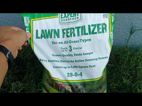 download lagu mp3 mp4 Expert Gardener Fertilizer Reviews, download lagu Expert Gardener Fertilizer Reviews gratis, unduh video klip Expert Gardener Fertilizer Reviews